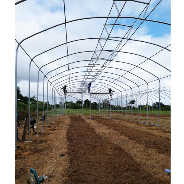 Grow Vegetables Single Span Greenhouse Flowers Tropical Climate Greenhouse