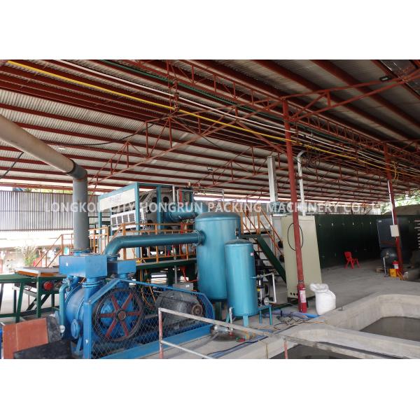 Energy Saving Automatic Egg Tray Forming Machine / Pulp Tray Making Machine