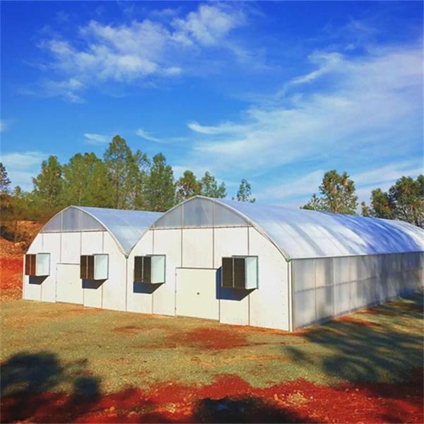 BAOLIDA 20 X 40 Polycarbonate Tunnel Automated Blackout Greenhouse