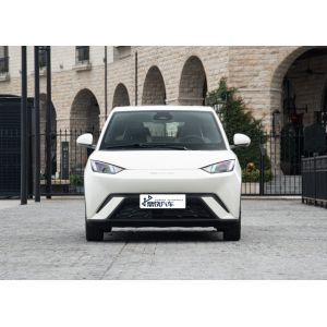 Quality Customizable Fashion Personalized Manufacturer Auto BYD EV Car Seagull Car for sale