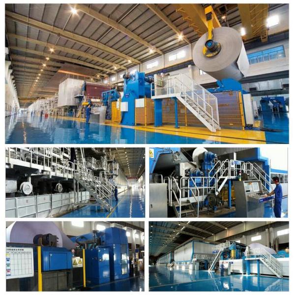 100% Bio-degradable Custom Printed Coloured Paper Straw Making Paper For Drinking