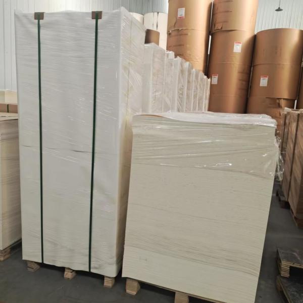 China Factory Wholesale Custom Designed PE Coated Paper Sheet for Making Paper Cups