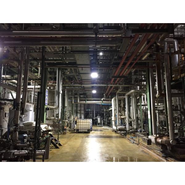 30W-80W LED Explosion Proof Flood Light