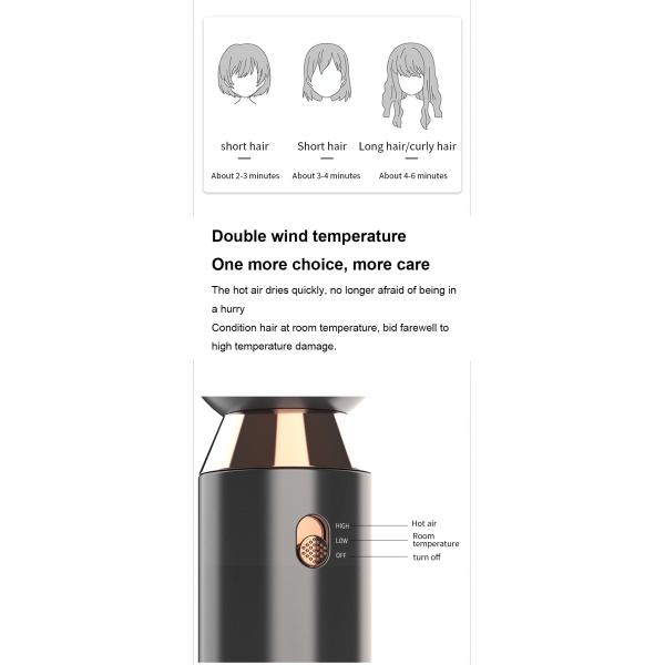 60Hz Professional Electric 240V Portable Travel Hair Dryer