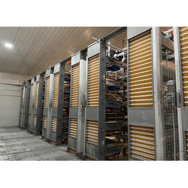 6 8 Tiers Pullet Layer Chicken Cage 17000 Eggs /H Collection Poultry Battery Cages
