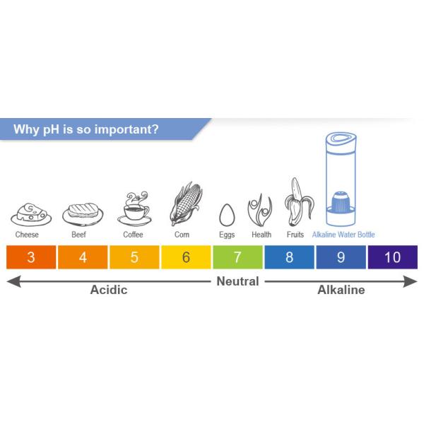 Alkaline Bpa Free Sports Water Bottles Eco Friendly Fashionable Custom Logo