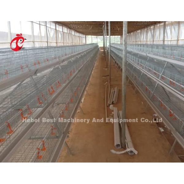 Intelligent Poultry Battery Cage System Semi Automatic And Automatic For Broilers Iris