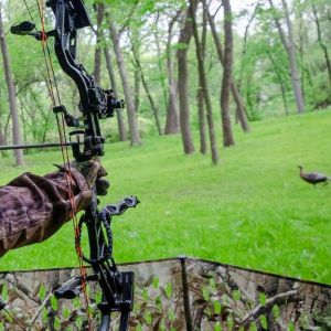 Hawkeye Penetration Carbon Hunting Arrows / Carbon Fiber Arrows Impact