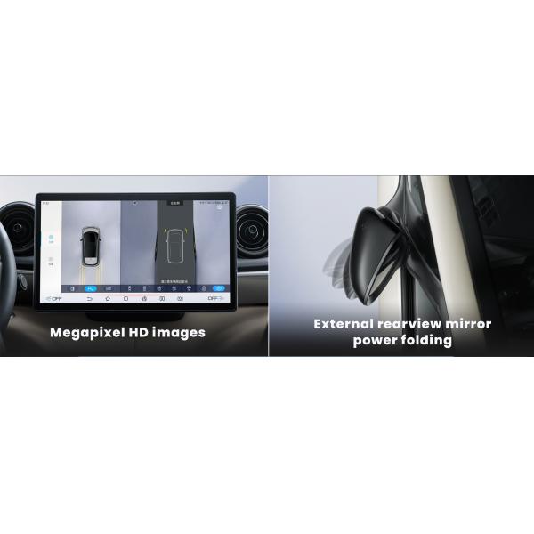 2022 BYD Dolphin EV Car Vehicles Zero Emission Vitality Edition