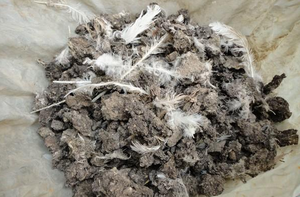 Chicken manure fertilizer pellets production line with 1-5T/H capacity