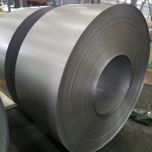 DC01 SPCC Galvanized Steel Coil Sample Available ISO9001 Certificate 100mm
