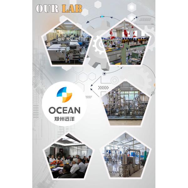 1500TPD Cooking Oil Pressing Machine Edible Oil Production Equipment