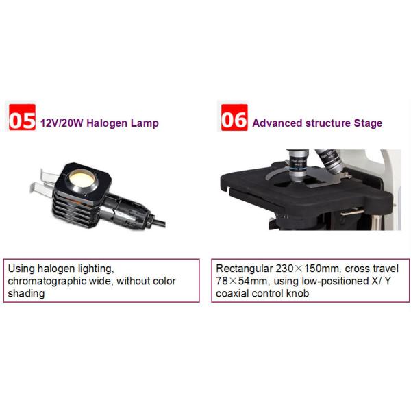 Double Layer Mechanical Stage Inverted Fluorescence Microscope 230×150mm NCH-B2000