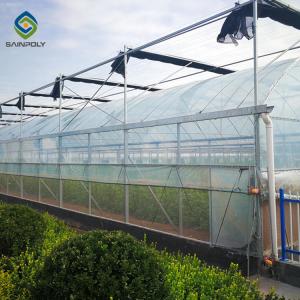 Hydroponic Agriculture Commercial Glass Greenhouse With Shading System