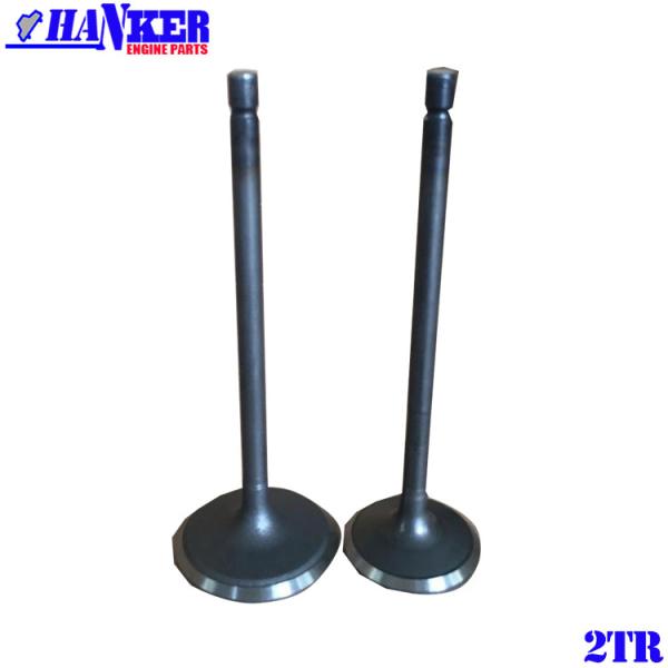 1TR 2TR Intake Valve Exhaust Valve Engine Valve 13715-75100 13711-75100