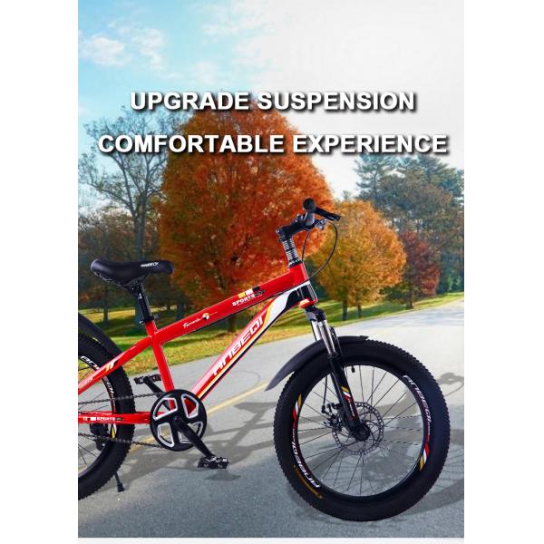 Customized Disc Brake 20 Inch MTB Mountain Bicycles 21 Speed