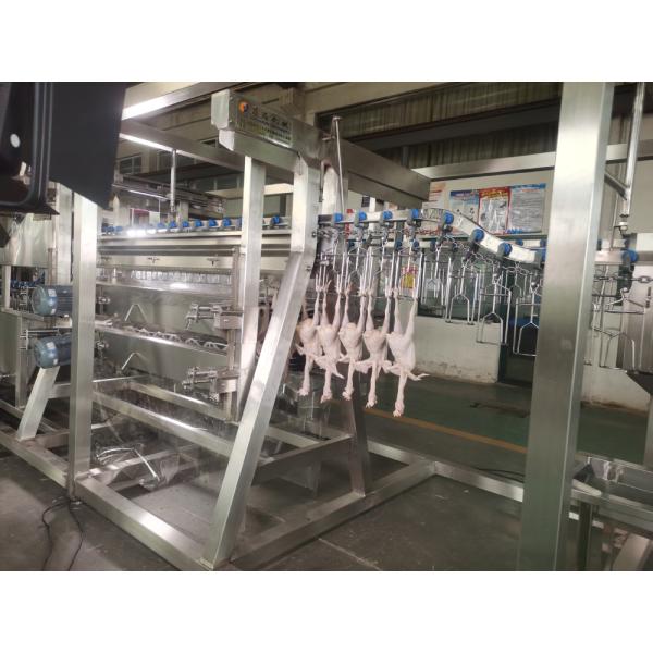 600bph Poultry Abattoir Machine High Performance Chicken Processing Equipment