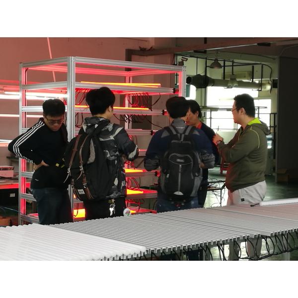 FCC DC24V 3000K Waterproof Garden Lights