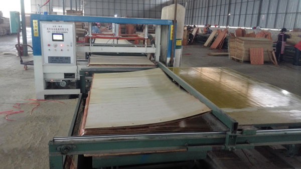 E1 Glue Poplar Core White Faced Plywood Sheets For Furniture