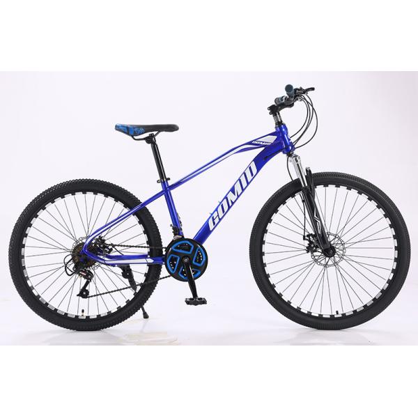 OEM Custom Carbon Steel Mountain Bike 27.5 29 Inch MTB Bicycle with Comfortable Swallow Handlebar