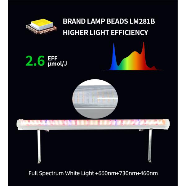 Dimmable Full Spectrum LED Grow Lights For Vegetable Seedlings