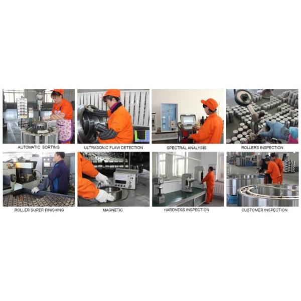 Ear Tag For Sheep/Pig/Cow