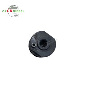 OEM Diesel Fuel Injector A0020102551 A0060172221 A0050177721 A0040176521