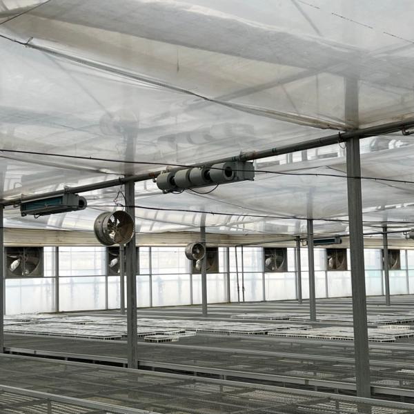 China Supplier Multi Span Film Greenhouse with Cooling/ Shading/Irrigation