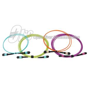 3.0mm MPO Patch Cable