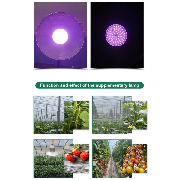 Greenhouse Planting 36W/50W Full Spectrum LED Grow Light with High Luminous Efficiency