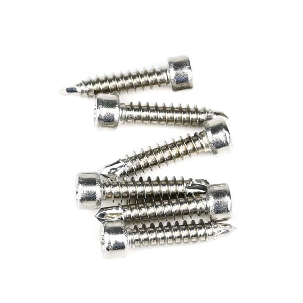 304 Stainless Steel Round Fillister Head Screw M6 Torx Screw with Customized Support