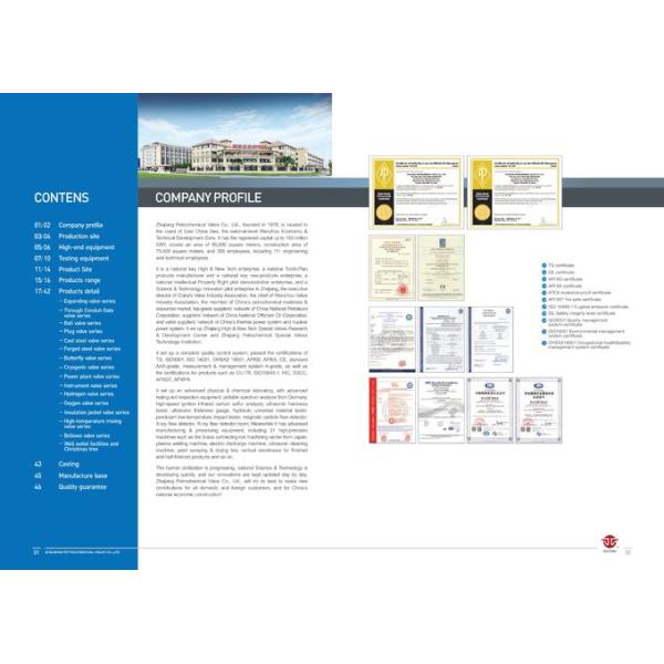 High Performance General PED Ss Flow Control Valve 1