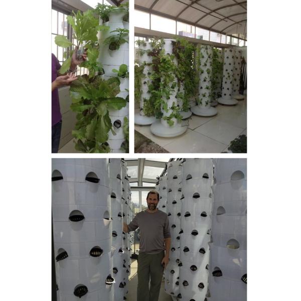 Hydroponic Growing System Garden Farm Greenhouse Vertical Tower Planter
