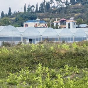High Tunnel Large Green House Agricultural Greenhouse Hydroponic Multi-Span
