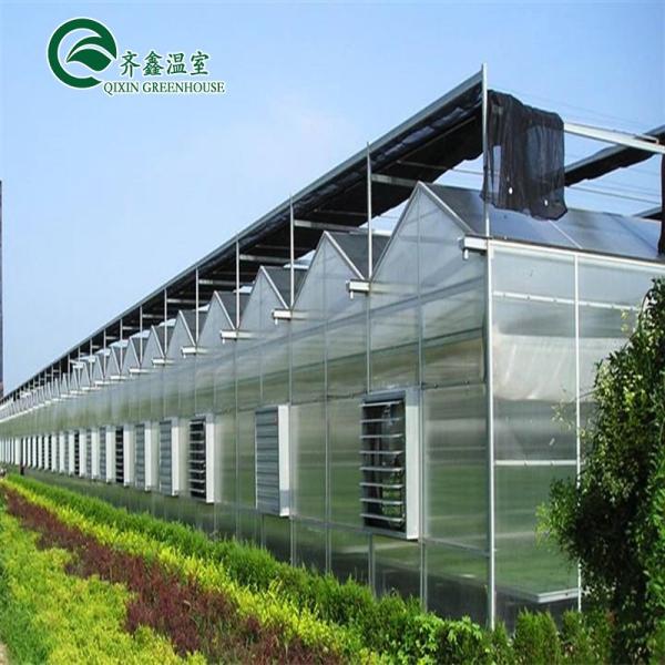 Hydroponic Supplies for Single-Span Greenhouses Cooling Irrigation Ventilation and More