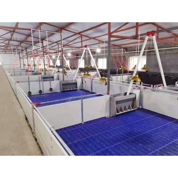 Animal Farming Polypropylene Plastic Slat Flooring For Sheep Goat Pig