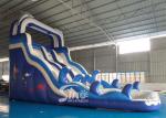 Double Lanes Inflatable dolphin Water Slides with pool EN14960 For Adults and