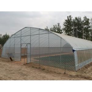 Quality Galvanized Frame PE Film Greenhouse , Hoop Tunnel Greenhouse CE Approved for sale