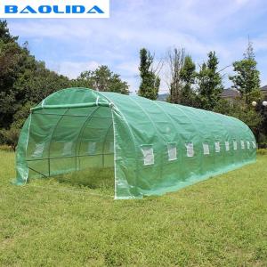 China Quick Install Film Greenhouse Tent Anti Insect Small Size Transparent on sale