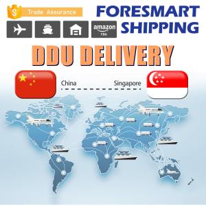 Quality Repacking Warehousing DDU Shipping , Shipping From China To Singapore for sale