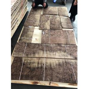 Quality 8% Moisture American Black Walnut Veneer for sale