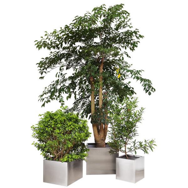 Cube Simple Design 304 50cm Stainless Steel Garden Containers