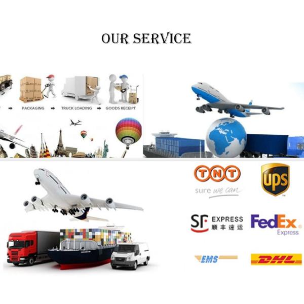 Food Grade Kraft Paper Tray Disposable Recyclable Customized