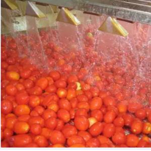 Quality Automatic Tomato Paste Processing Line High Speed for sale