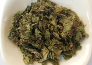 China Bulk herb Callicarpa formosana Rolfe Taiwan Beautyberry Leaf  zi zhu ye on sale