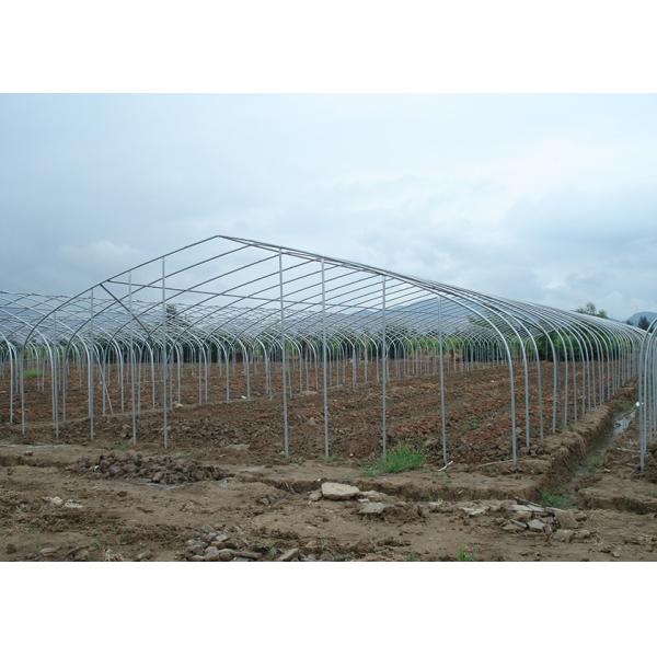 Ventilation Plastic Tunnel Greenhouse Garden Poly Tunnel For Tomato More Vigorous Growth