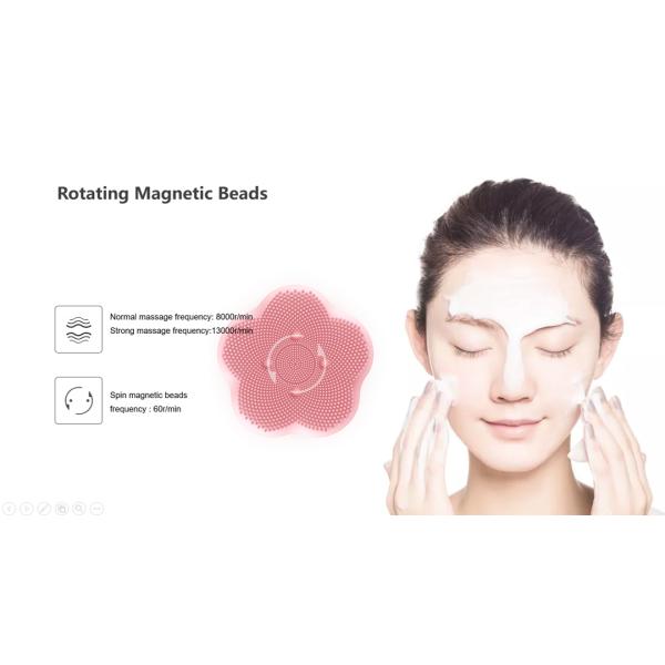 AC100V 180mAh Waterproof Facial Silicone Cleansing Brush