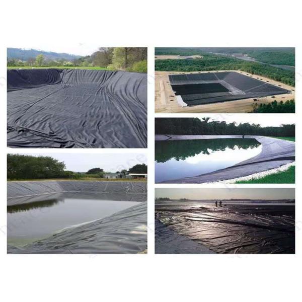 Fish Shrimp Farming Polyethylene Geomembrane Width 1m To 8m Pond Liner
