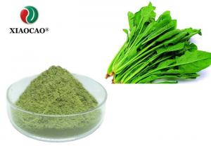 China Food Grade Spinach Juice Powder / Organic Dehydrated Spinach Powder on sale