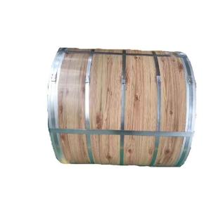 Quality DX51D PPGL Steel Coil Astm A240 304 Stainless Steel Plate for sale